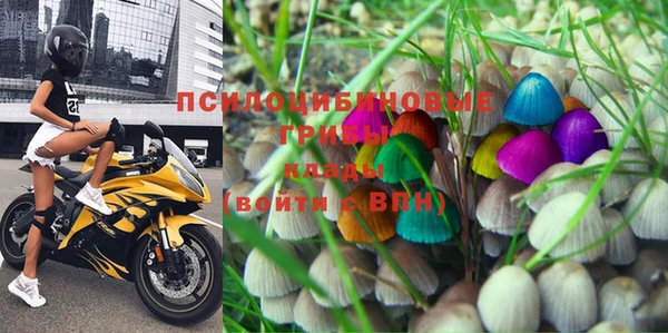 mix Богородск