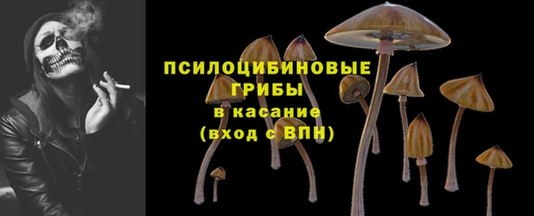 mix Богородск