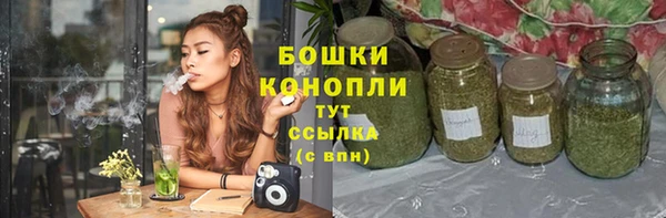 mix Богородск